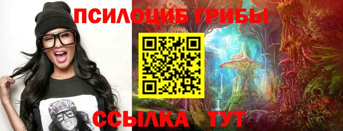 Галлюциногенные грибы прущие грибы  Галлюциногенные грибы MAGIC MUSHROOMS  Алексин  Вход с VPN 